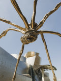 The Guggenheim, Designed by Architect Frank Gehry, and Giant Spider Sculpture by Louise Bourgeois Photographic Print by Christian Kober