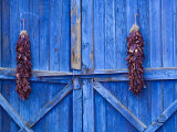 Chilli Ristra Hanging in Old Town Albuquerque, New Mexico Photographic Print by Michael DeFreitas