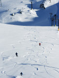 Powder Skiing at Whistler Mountain Resort Photographic Print by Christian Kober