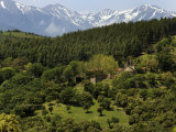 Mountain View Near St. Marsal, Pyrenees Orientales, France, Europe Photographic Print by Peter Richardson