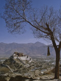 Potala Palace from Yuwang Shan Mountain, Lhasa, Tibet, China, Asia Fotografisk trykk av Nigel Blythe Potala Palace from Yuwang Shan Mountain, Lhasa, Tibet, China, Asia Fotografisk trykk av Nigel Blythe
