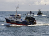 Fishing Boats Returning to Harbour, Guilvinec, Finistere, Brittany, France, Europe Photographic Print by Peter Richardson