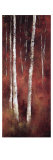Features of the Same Face II Giclee Print by Tracey Lane