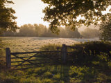 Early Morning Sun on Frosty Farmland at Fordcombe, Kent, England, United Kingdom, Europe Photographic Print by Hazel Stuart
