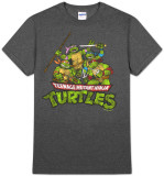 Teenage Mutant Ninja Turtles - TMNT Group (Slim Fit) T-Shirt Teenage Mutant Ninja Turtles - TMNT Group (Slim Fit) T-Shirt