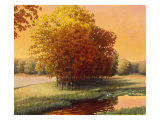 Late Summer Meadow Giclee Print by Stephen Henning