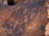 Rock Engravings, UNESCO World Heritage Site, Twyfelfontein, Namibia, Africa Photographic Print by Peter Groenendijk