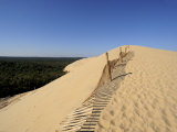 Dunes Du Pyla, Bay of Arcachon, Cote D'Argent, Aquitaine, France, Europe Photographic Print by Peter Richardson