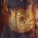 Woodworm Hieroglyphics Photographic Print by Diane Miller