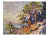 Saint -Tropez, le Sentier de Douane, 1905 Giclee Print by Paul Signac