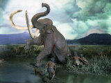 Mammoth Hunt, Lower Paleolithic era, Reconstruction Photographic Print Mammoth Hunt, Lower Paleolithic era, Reconstruction Photographic Print