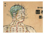 Acupuncture Points and Meridians of Human Body Giclee Print