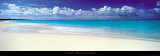 Tropical Beach, Caribbean Kunstdrucke von Tom Mackie