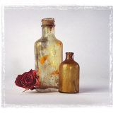 Still Life of a Dry Rose and Bottles Photographic Print by Diane Miller