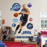 Deron Williams Wall Decal