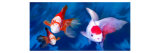 Three Carp Stare Out Giclee Print by Images Monsoon