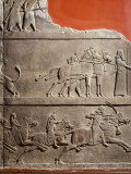 King Assurbanipal Hunting, Relief, c. 645 BC Assyrian, from Nineveh Photographic Print