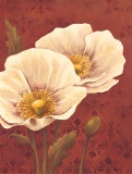 Poppies on Red Plakater av Ella Belamar