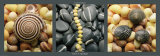 Galets et Coquillages Pósters por Laurent Pinsard Galets et Coquillages Pósters por Laurent Pinsard