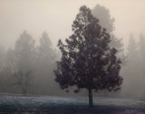 Silent Night Prints by Vitaly Geyman