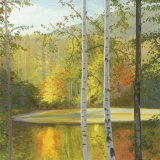 Cooper Lake, Autumn Kunstdruck von Elissa Gore