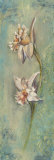 Floral XXIIII Prints by Hazel Lee