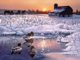 Winter Morning Poster von Russ Cobane