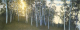 Hillside Birches Prints by Elissa Gore Hillside Birches Prints by Elissa Gore