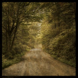 Flannery Fork Road No. 1 Affiches par John Golden