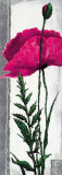 Poppy Bloom II Posters by Nina Konig