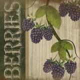 Berries Prints by Jennifer Pugh
