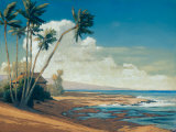Kona Coast I Posters by Allan Stephenson