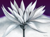 Purple Morning Posters by Rian Withaar