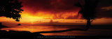 Tropical Beach at Sunset with Leaning Palm, Caribbean Reprodukcje autor Tom Mackie Tropical Beach at Sunset with Leaning Palm, Caribbean Reprodukcje autor Tom Mackie