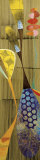 Patagonia Póster por Rex Ray
