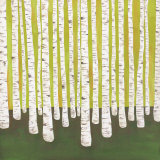 Birch Forest Prints by Lisa Congdon Birch Forest Prints by Lisa Congdon