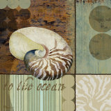 Contemporary Shell II Poster von Paul Brent