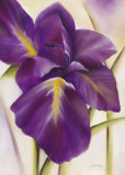 Purple Blossom I Prints by Caroline Wenig