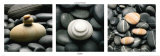Laurent Pinsard - Galets - Reprodüksiyon Laurent Pinsard - Galets - Reprodüksiyon