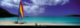 Shell Beach, Antigua Kunstdrucke von Tom Mackie