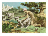 Ancient Greek Sodomising a Goat, plate XVII from 'De Figuris Veneris' by F.K. Forberg, pub. 1900 Reproduction procédé giclée par Edouard-henri Avril