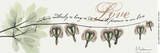 Love: Bleeding Heart Affiches par Albert Koetsier