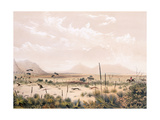 Kangaroo Hunt Giclee Print by George French Angas