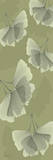 Green on Green Ginko Posters by Albert Koetsier Green on Green Ginko Posters by Albert Koetsier