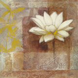 Global Brilliance II Prints by Danielle Nengerman