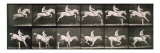 Man and horse jumping a fence, plate 643 from 'Animal Locomotion', 1887 reproduction procédé giclée par Eadweard Muybridge
