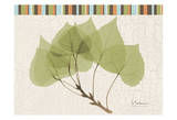 Trimmed Aspen Prints by Albert Koetsier