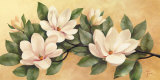 Magnolia Prints by Fasani 