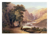 Tasmanian Gorge Giclee Print by John Glover