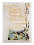 The Tyger, from Songs of Innocence Lámina giclée por William Blake The Tyger, from Songs of Innocence Lámina giclée por William Blake